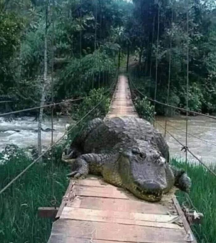 Toto je ni oproti roku 2020